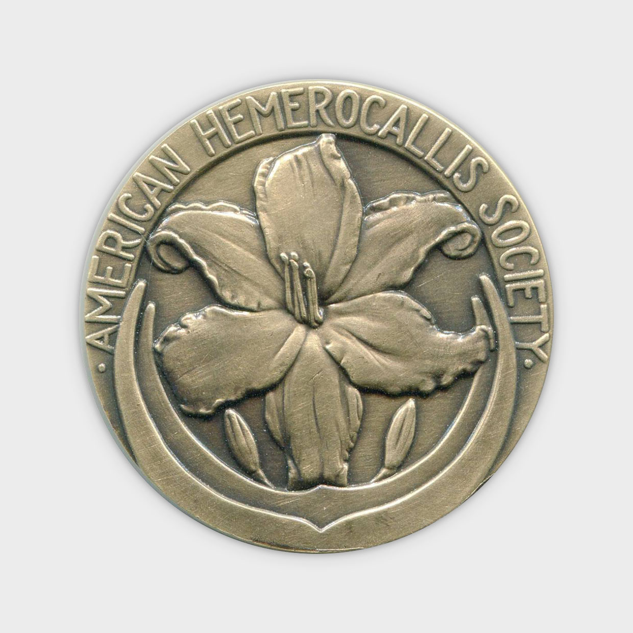 American Hemerocallis Society Coin Obverse