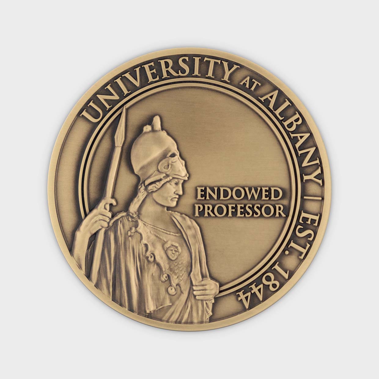 Endowed Professor Medal
