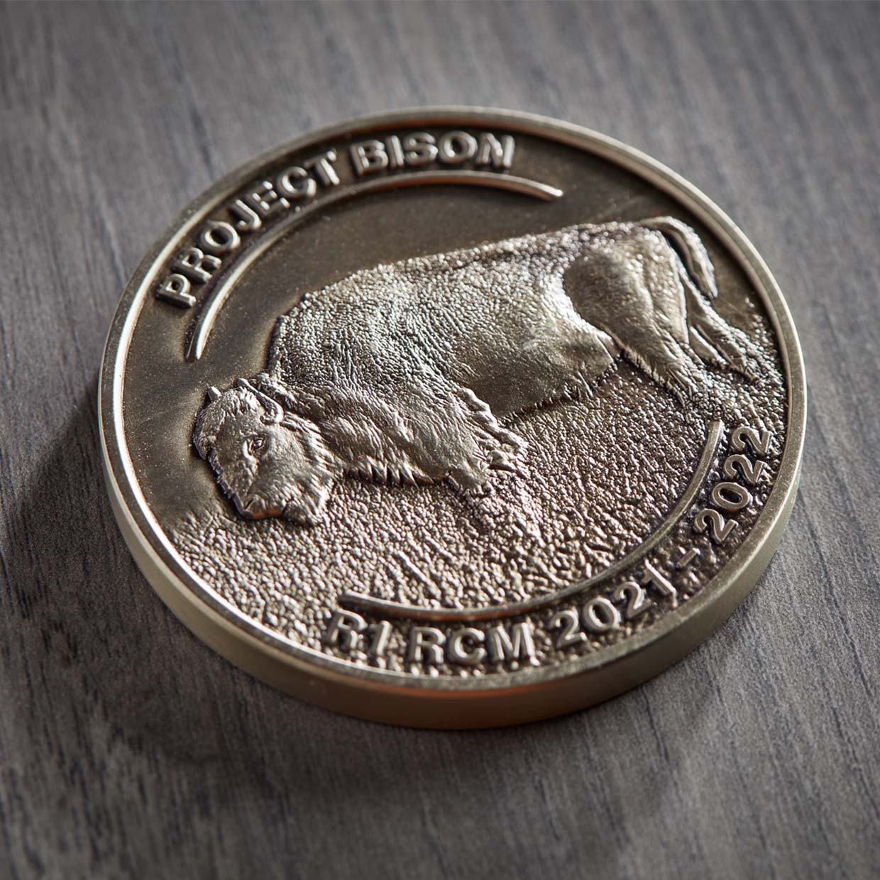 Project Bison Medallion Detail