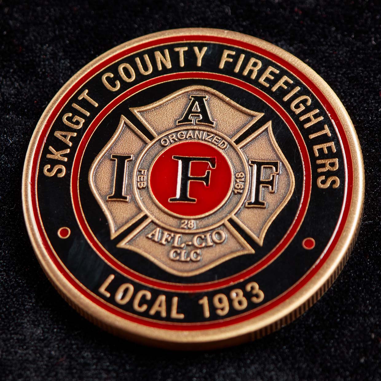 Mount Vernon Skagit County Firefighters Coin Detail