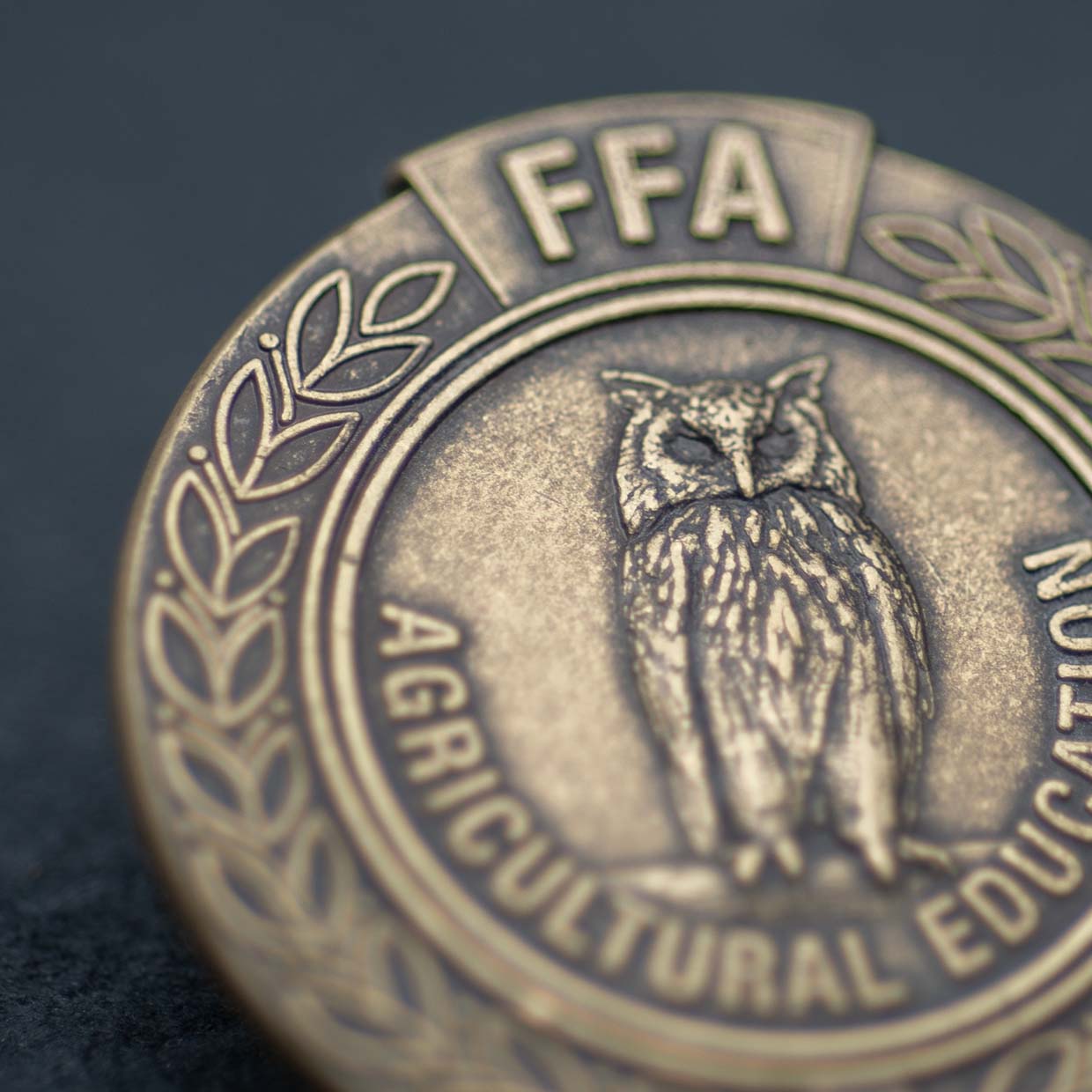 FFA Agricultural Education Lapel Pin Detail