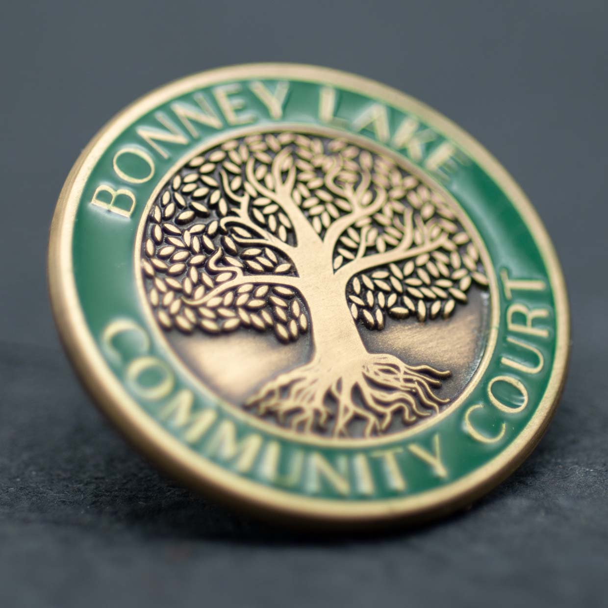 Bonney Lake Community Court Lapel Pin Detail