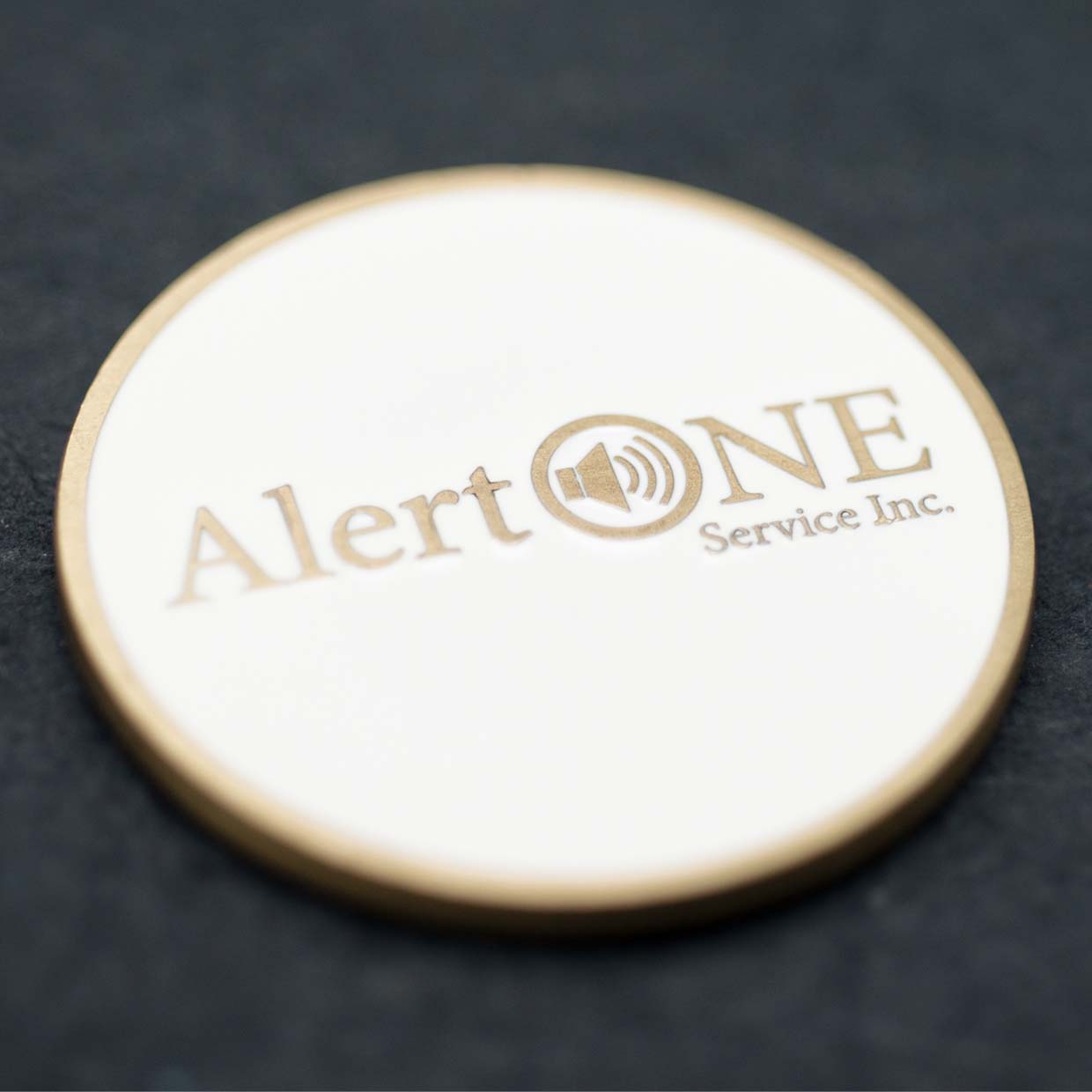 Alert One Coin Detail