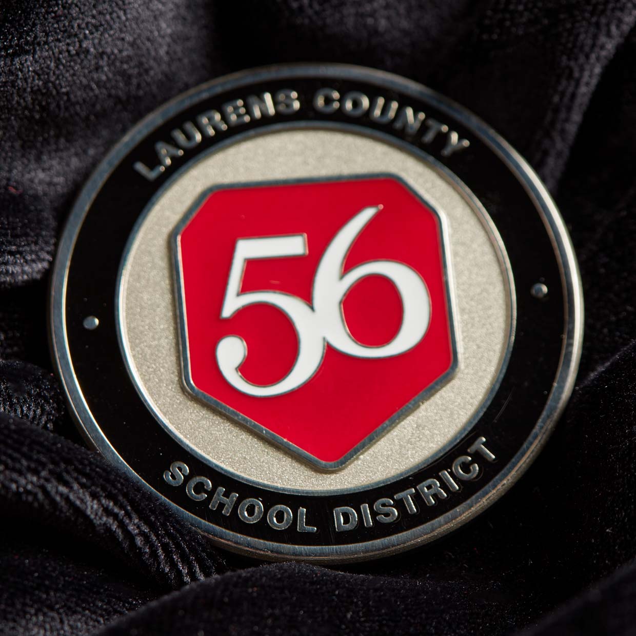 Laurens County School District Coin Detail