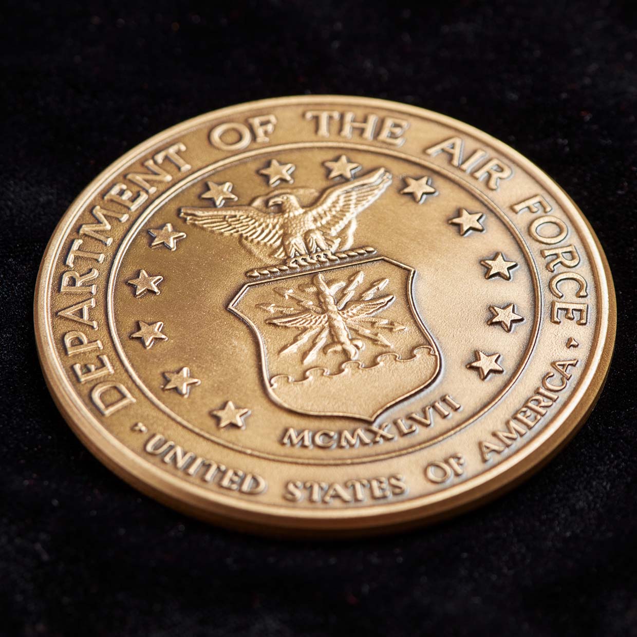 Air Force Medallion Detail